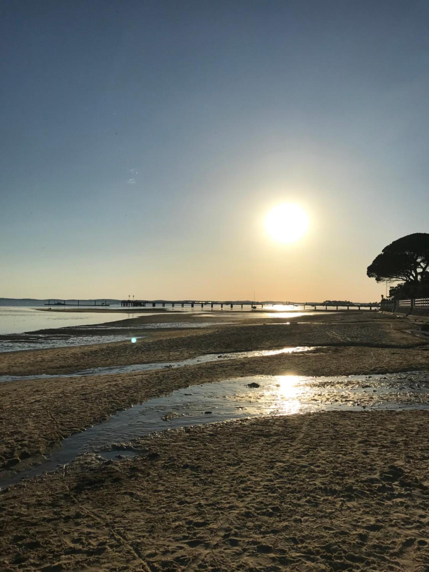 Appart Les Goelands Piscine Et Jardin Andernos-les-Bains Eksteriør bilde